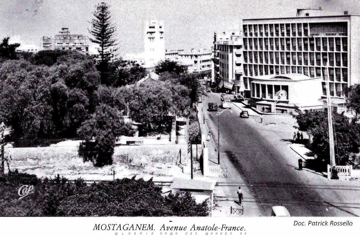 238- Mostaganem - Avenue Anatole-France.jpg